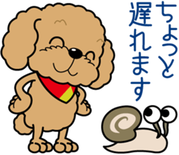 "Arare-kun" of clever toy poodle. sticker #12583144