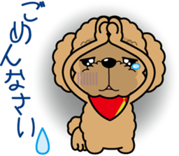 "Arare-kun" of clever toy poodle. sticker #12583145