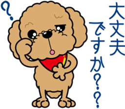 "Arare-kun" of clever toy poodle. sticker #12583147
