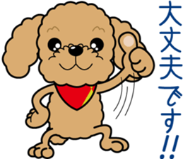 "Arare-kun" of clever toy poodle. sticker #12583148