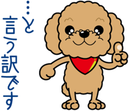 "Arare-kun" of clever toy poodle. sticker #12583154
