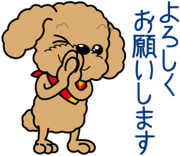 "Arare-kun" of clever toy poodle. sticker #12583155