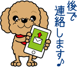 "Arare-kun" of clever toy poodle. sticker #12583156