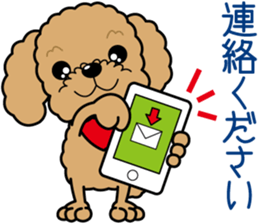 "Arare-kun" of clever toy poodle. sticker #12583157