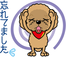 "Arare-kun" of clever toy poodle. sticker #12583160