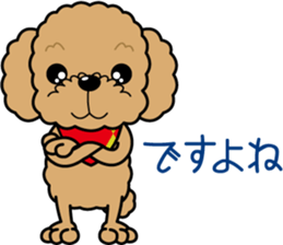 "Arare-kun" of clever toy poodle. sticker #12583161