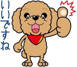 "Arare-kun" of clever toy poodle. sticker #12583162