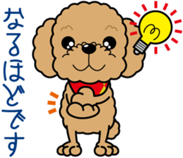 "Arare-kun" of clever toy poodle. sticker #12583163