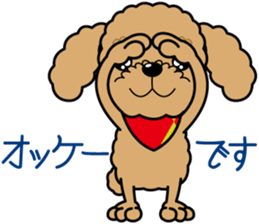 "Arare-kun" of clever toy poodle. sticker #12583164