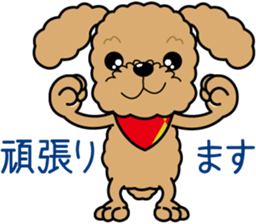 "Arare-kun" of clever toy poodle. sticker #12583166