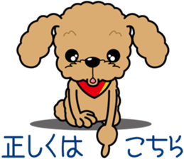 "Arare-kun" of clever toy poodle. sticker #12583168