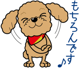 "Arare-kun" of clever toy poodle. sticker #12583170