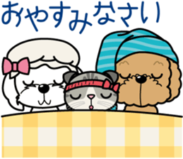 "Arare-kun" of clever toy poodle. sticker #12583173