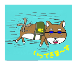 cute shiba inu no taro sticker #12583440