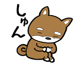 cute shiba inu no taro sticker #12583446