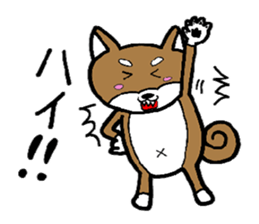 cute shiba inu no taro sticker #12583455