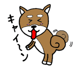cute shiba inu no taro sticker #12583457