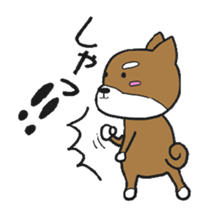 cute shiba inu no taro sticker #12583472