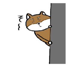 cute shiba inu no taro sticker #12583473
