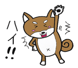 cute shiba inu no taro sticker #12583477