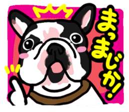 French bulldog family13 sticker #12583624