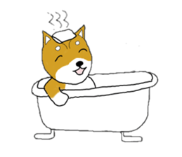 mameshiba sticker #12584548