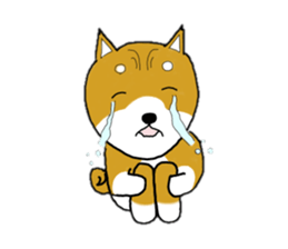 mameshiba sticker #12584550