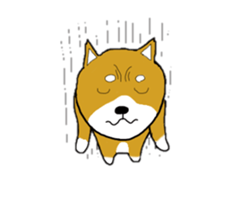 mameshiba sticker #12584553