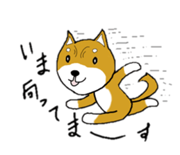 mameshiba sticker #12584558