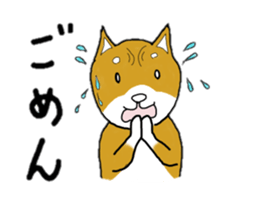 mameshiba sticker #12584567