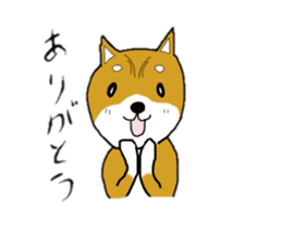 mameshiba sticker #12584578