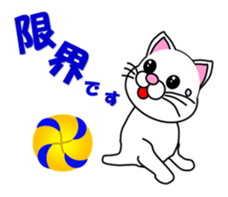 Volleyball of a white cat sticker #12587190