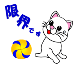 Volleyball of a white cat sticker #12587190