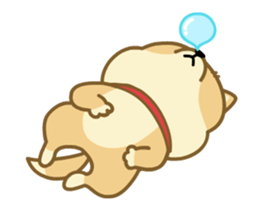 Moving! The Shibaken "HAPI" sticker #12588528