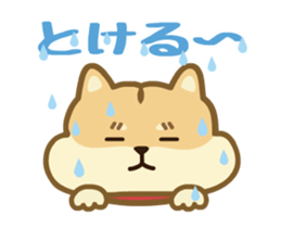 Moving! The Shibaken "HAPI" sticker #12588538