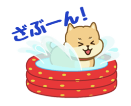 Moving! The Shibaken "HAPI" sticker #12588539