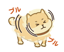 Moving! The Shibaken "HAPI" sticker #12588541