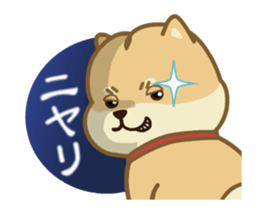 Moving! The Shibaken "HAPI" sticker #12588544