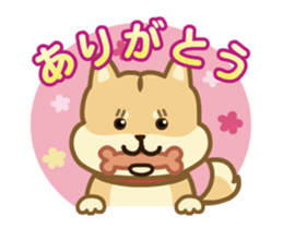 Moving! The Shibaken "HAPI" sticker #12588545