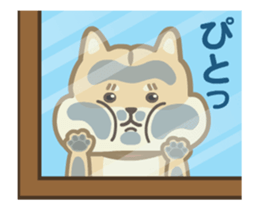 Moving! The Shibaken "HAPI" sticker #12588547