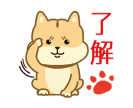 Moving! The Shibaken "HAPI" sticker #12588548