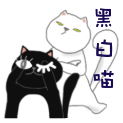 BLACK & WHITE MEOW