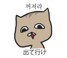 funny expression of cat sticker #12591529