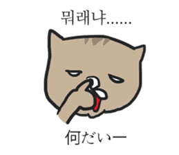 funny expression of cat sticker #12591530