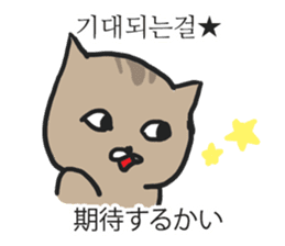 funny expression of cat sticker #12591531