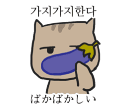 funny expression of cat sticker #12591535