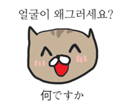 funny expression of cat sticker #12591559