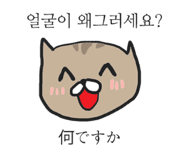 funny expression of cat sticker #12591559
