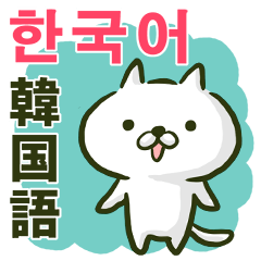 Korean cat!