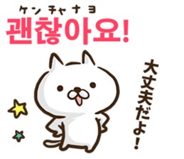 Korean cat! sticker #12591880